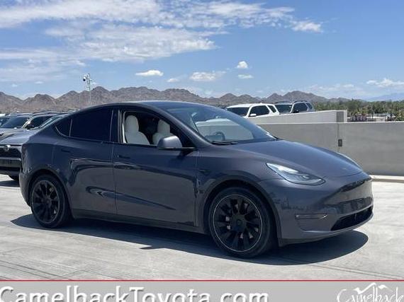 TESLA MODEL Y 2021 5YJYGDEE5MF246365 image